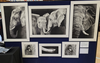 Visual Arts Faculty Banner Photo