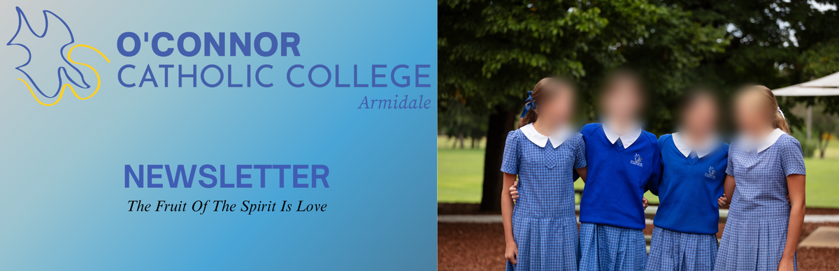 Page 0 Banner Photo